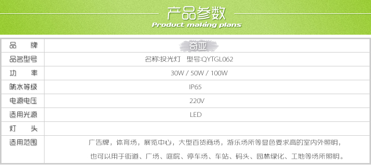QYTGL062 LEDͶ30W50W100W 